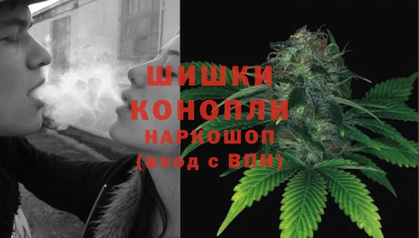 сатива Сафоново
