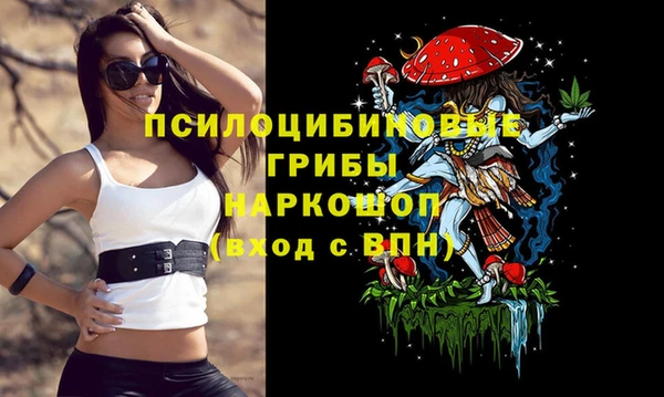 сатива Сафоново