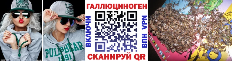 hydra   Шацк  Псилоцибиновые грибы Cubensis  где купить наркотик 