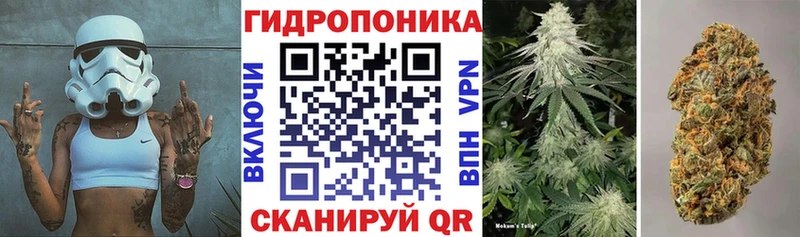 гидра ССЫЛКА  купить наркотик  Шацк  Шишки марихуана планчик 